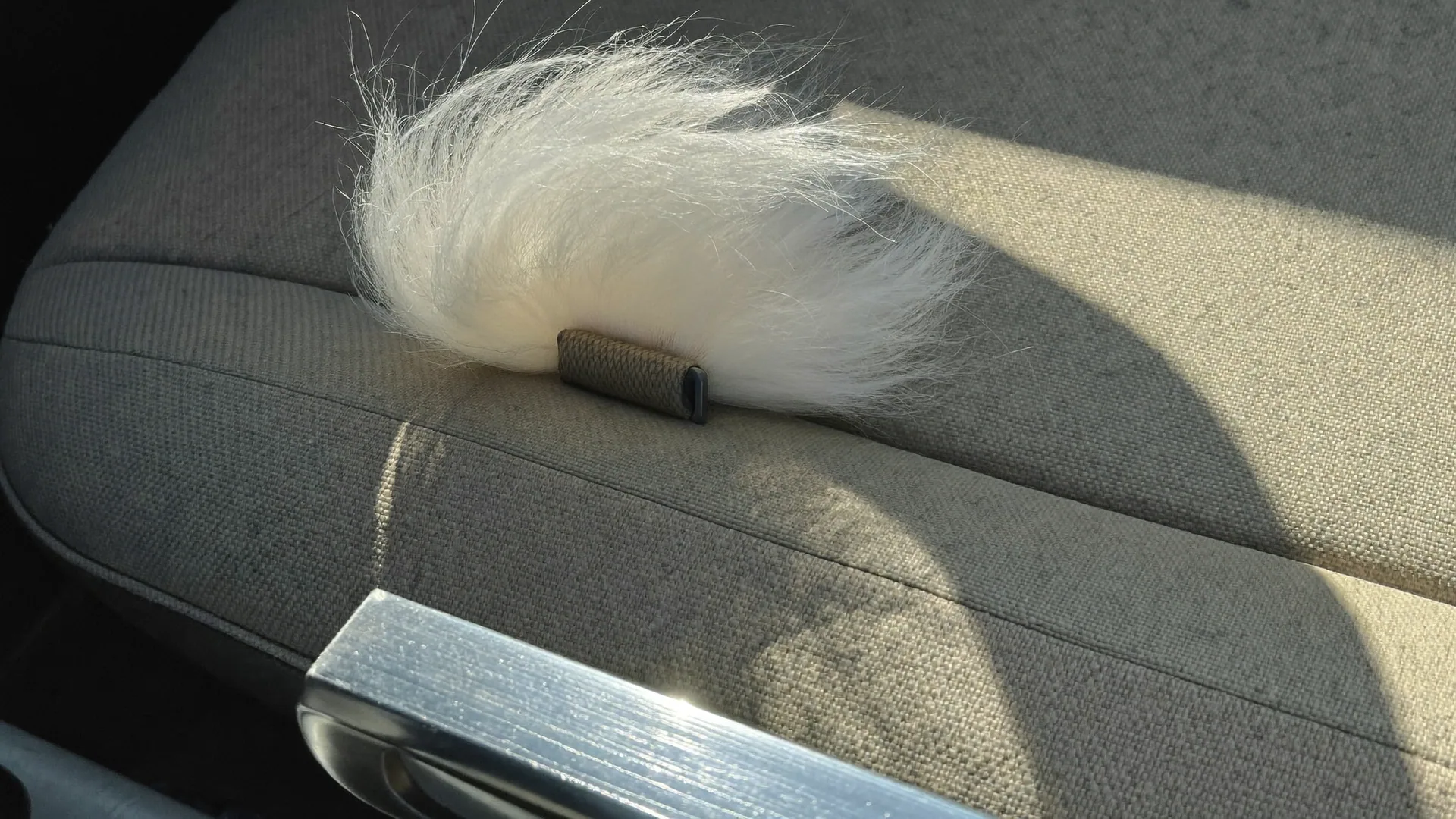 Interior detailing work — Express Mobile Detailing