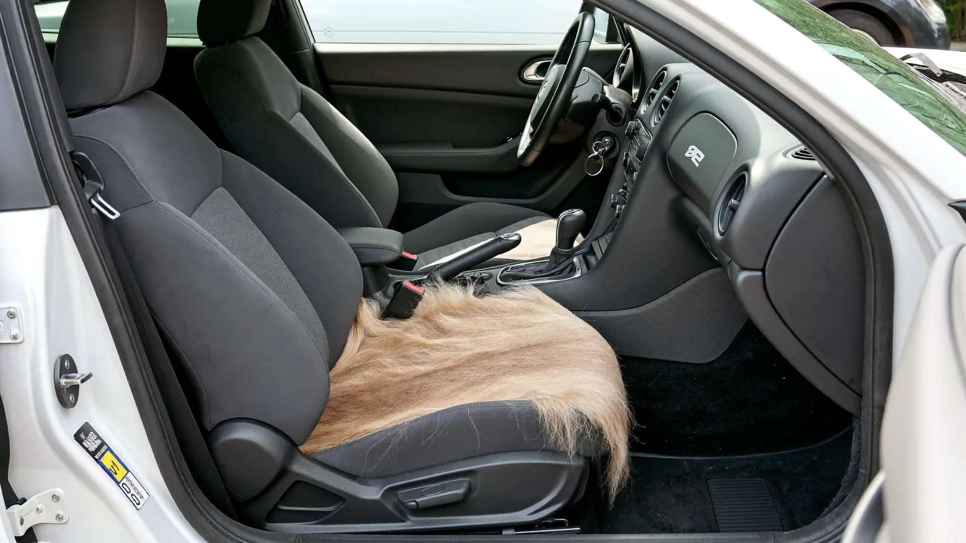Interior Detailing in Strathroy — Working vehicles are lived in